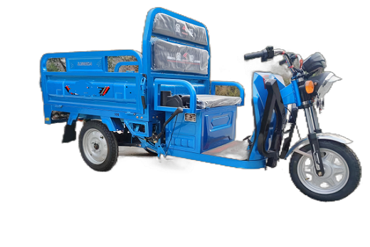 Triciclo de carga